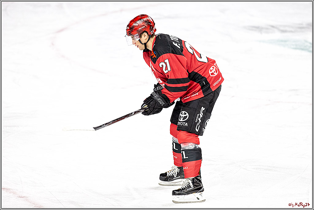 DEL; Koelner Haie - Schwenninger Wild Wings, 06.12.2018